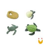 Ciclos de Vida da Formiga - Imagem 7