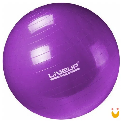 Bola Suiça Premium 65 cm - Imagem 3