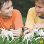 Kit de Escavação de Dinossauro Triceratopo - Imagem 9