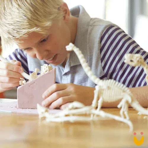 Kit de Escavação de Dinossauro Triceratopo - Imagem 8