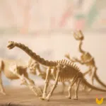 Kit de Escavação de Dinossauro Triceratopo - Imagem 10