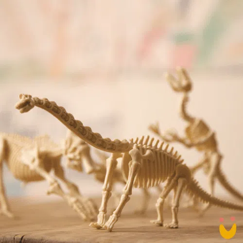 Kit de Escavação de Dinossauro Triceratopo - Imagem 10