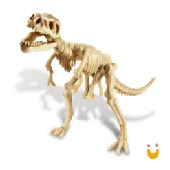 Kit de Escavação de Dinossauro Triceratopo