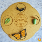 Bandeja para ciclo de vida