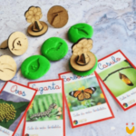 Carimbos de massinha - Ciclos de Vida da tartaruga