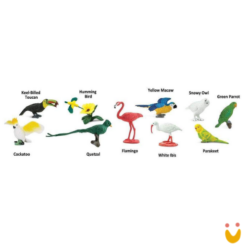 Tubo de miniatura - Pássaros Exóticos