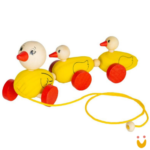 Patinho com filhotes