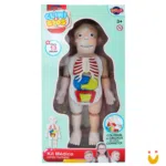 Kit médico corpo humano