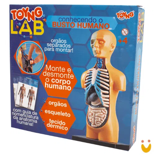 Kit Médico Explora Corpo Humano - Imagem 4