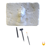 Escava Prêmio Egito - Imagem 2