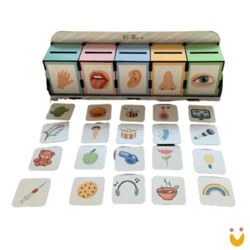 Categorize Sentidos - Imagem 2