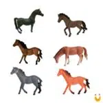 Cavalo