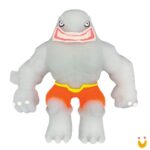 Elastikorps - Imagem 14