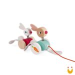 Coelhos de passear Zigolos