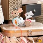 Coelhos de passear Zigolos - Imagem 3