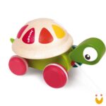 Tartaruga para passear Zigolos - Imagem 3