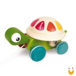 Tartaruga para passear Zigolos - Imagem 4