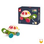 Tartaruga para passear Zigolos