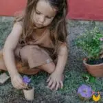 Kit de jardinagem - Imagem 2