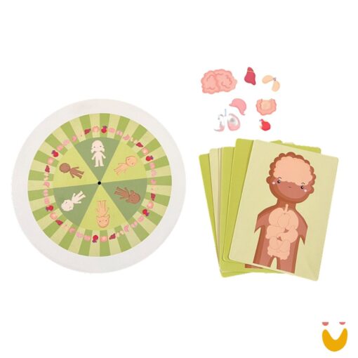 Extensão para Roleta Brincante - Corpo Humano - Imagem 2