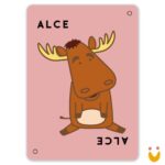 Taco Gato Cabra Queijo Pizza: ao Contrário - Imagem 3