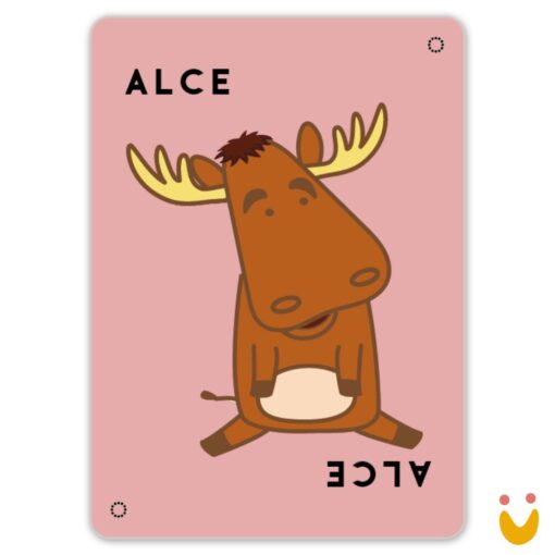 Taco Gato Cabra Queijo Pizza: ao Contrário - Imagem 3