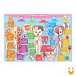 Quebra Cabeças - Explorando O Corpo Humano - Imagem 3