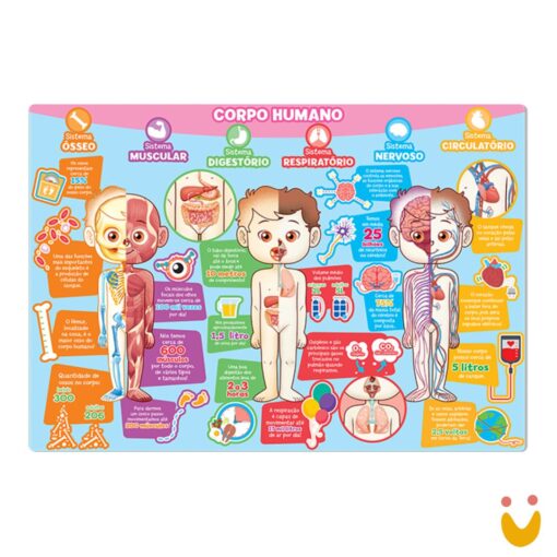 Quebra Cabeças - Explorando O Corpo Humano - Imagem 3