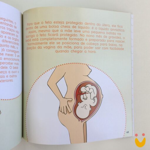 Livro Tudo Explicadinho! - Imagem 3