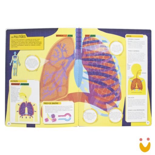 Desvende Fatos! Segredos do Corpo Humano - Imagem 2