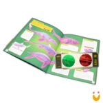 Desvende Fatos! Segredos dos Dinossauros - Imagem 2