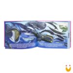 Explorando o Mundo: Animais do Oceano - Imagem 2