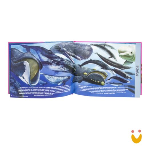Explorando o Mundo: Animais do Oceano - Imagem 2