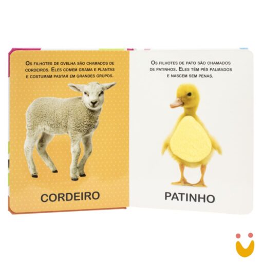 Livro Toque e Sinta II: Animais Filhotes - Imagem 3