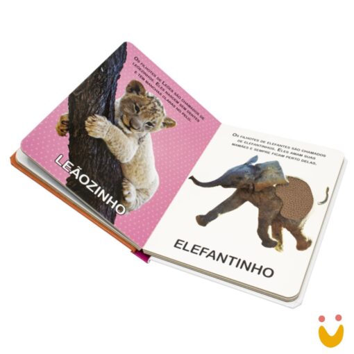 Livro Toque e Sinta II: Animais Filhotes - Imagem 2