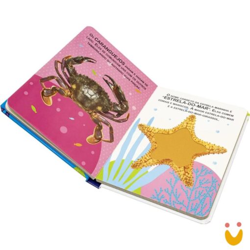 Livro Toque e Sinta II: Animais Marinhos - Imagem 2