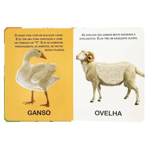 Toque e Sinta II: Na Fazenda - Imagem 2