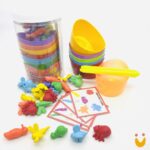 Kit Montessori insetos