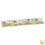 Sequência Lógica Vida - Imagem 2