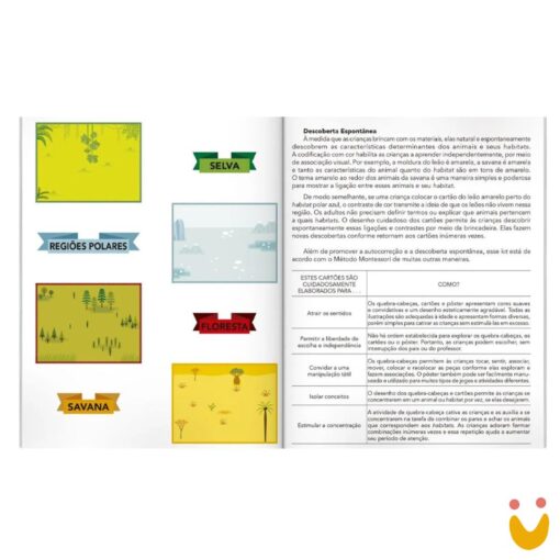 Escolinha Montessori - Meu Primeiro Box de atividades: Animais - Imagem 2