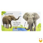 Explore e Sinta - Com relevo: Selva - Imagem 2