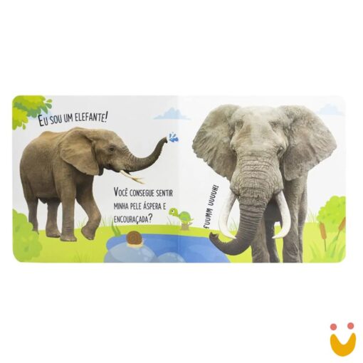 Explore e Sinta - Com relevo: Selva - Imagem 2