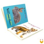 Nomes & Texturas: Animais Filhotes - Imagem 2